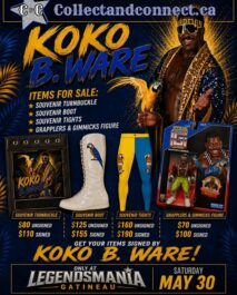 PRE-ORDER - SIGNED FIGURE - HASTTEL TOYS - KOKO B. WARE