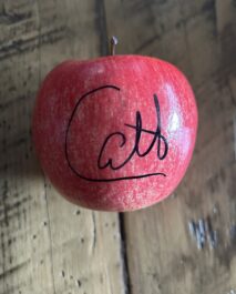 SIGNED - CARLITO - SOUVENIR PLASTIC APPLE